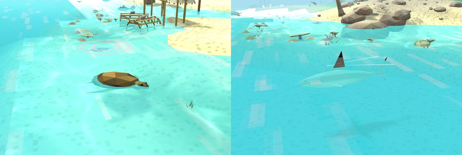 Two pictures side by side. A green turtle swims at the surface of the shallows with its head up to breathe. A reef shark glides just under the water, its black-tipped dorsal fin above the surface, with corals and a turtle behind it near granite boulders.